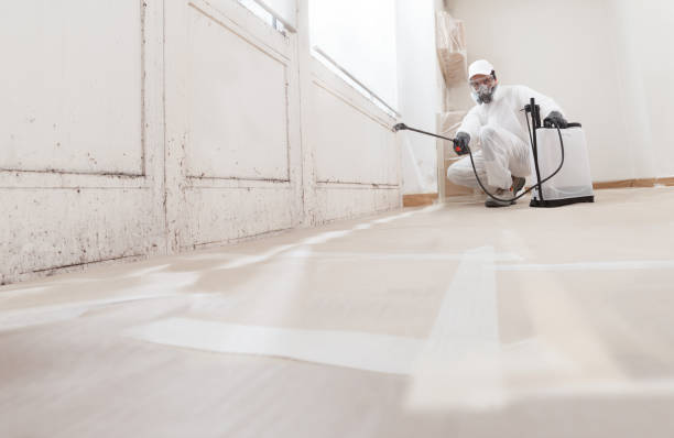 Black mold remediation team in Newtonville